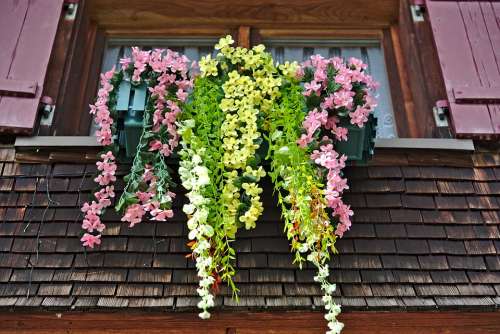 Window Floral Decorations Shutters Shingle