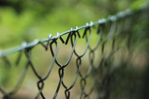 Wire Mesh Fence The Fence Wire Fencing