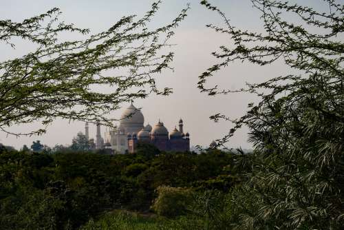 Distant View of Taj Mahal Surounded by Nature
