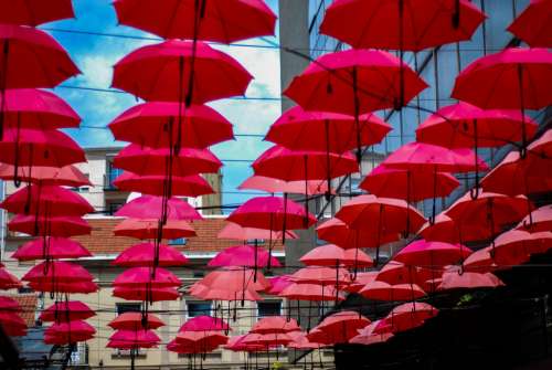Red Umbrellas