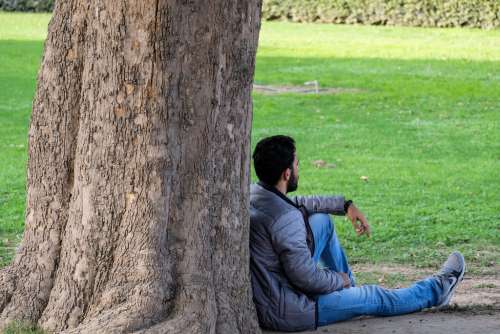 Man Sitting Under a Tree