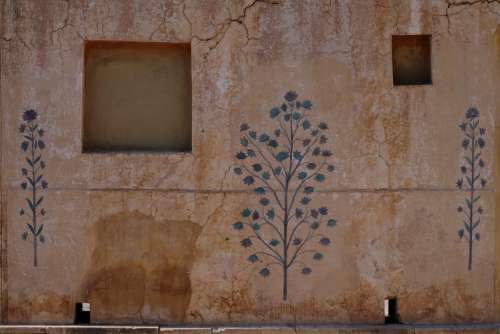 Mural of Plants on a Cracked Wall