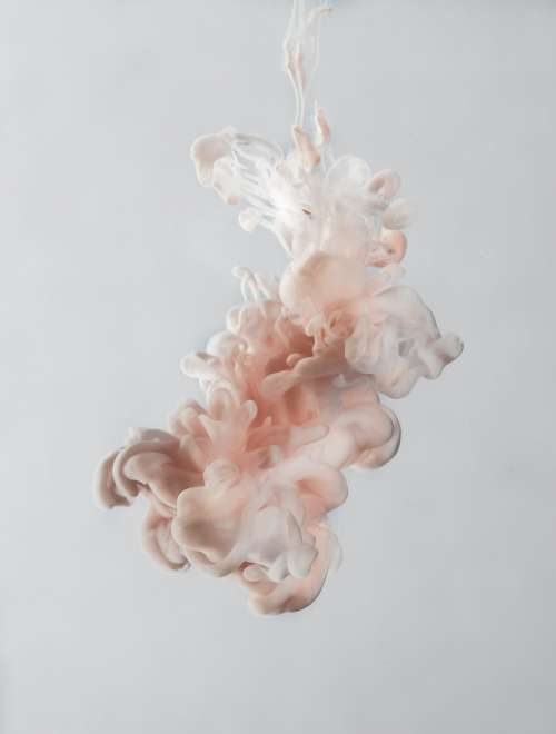A Cluster Of Curling Pink, Silver And White Like Ink In Water Photo