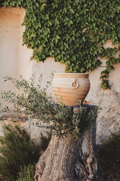 A Mediterranean Scene With Terracotta Pot Photo