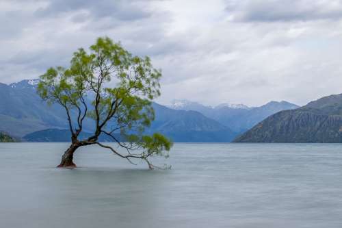 A Solitary Tree In A Foggy Lake With A Mountainous Backdrop Photo
