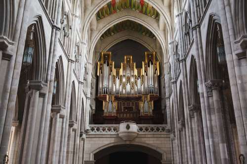 Baroque Style Organs in a Cathedral Photo