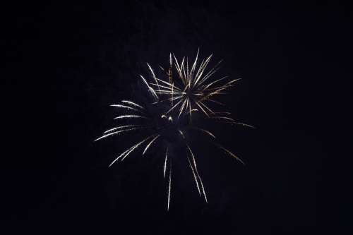 Fireworks Unfurl In The Night Sky Photo