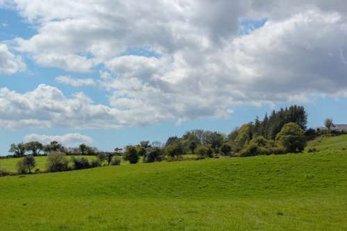 Rolling Grassy Hillside Under Blue Sky With Puffy Clouds Photo