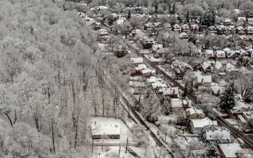 Snowy Rooftops Amidst Frosty Trees Photo