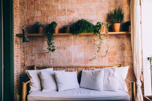 Sunny Couch And Shelved Plants Photo