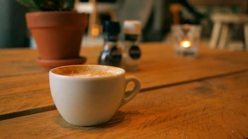coffee cup plant Cappuccino milk