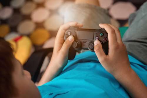 Young boy plays video games at home. Boy holds his gamepad.