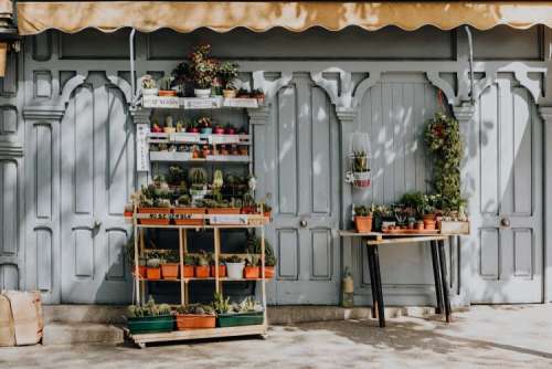 Flower shops in Madrid, Spain