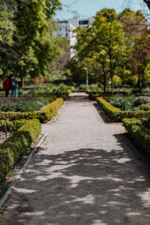 Real Jardin Botanico, Madrid, Spain