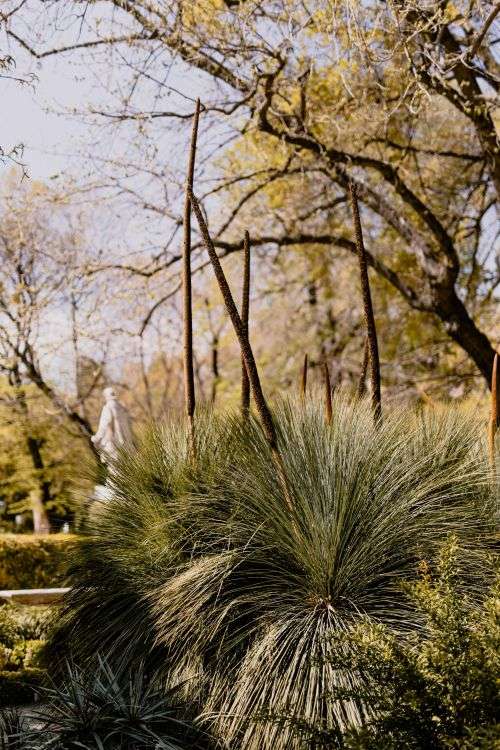 Real Jardin Botanico, Madrid, Spain