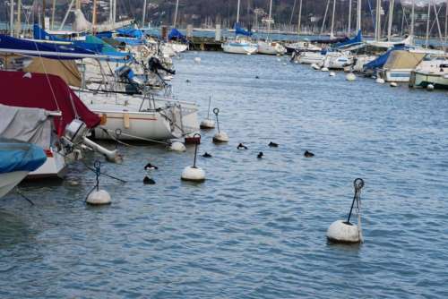 boats storm geneva waves