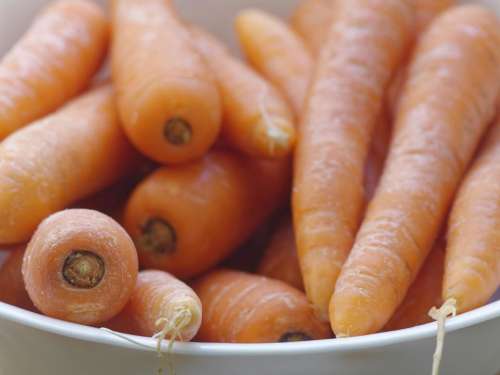 food vegetable carrot