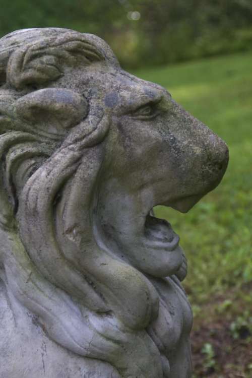 Lion Stone Statue #lions