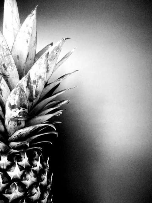 pineapple fruit black white black and white