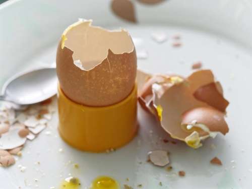 food egg boiled egg eggshell yellow eggcup