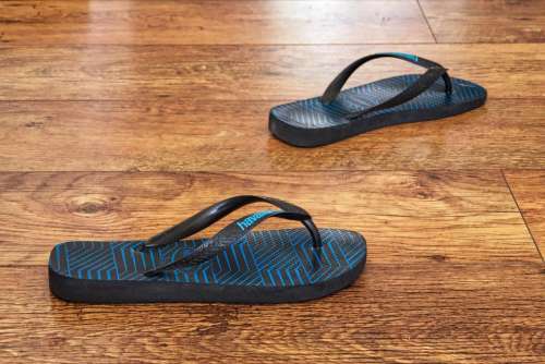 flip-flop sandal shoe footwear floor