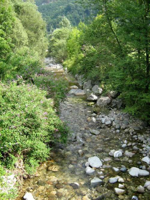 stream creek