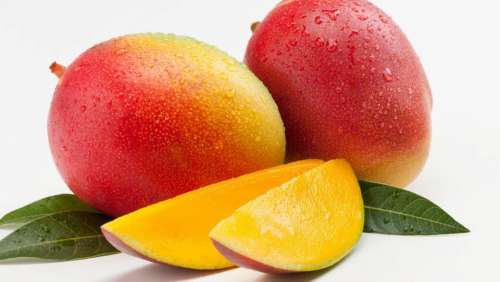 Mango food fruit tropical 