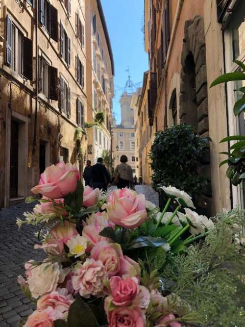 Italy roses street spring Rome