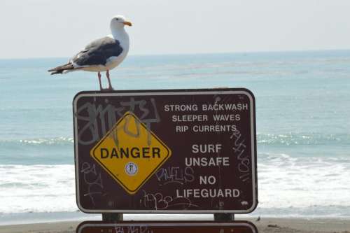 sign seagull beach wave sand
