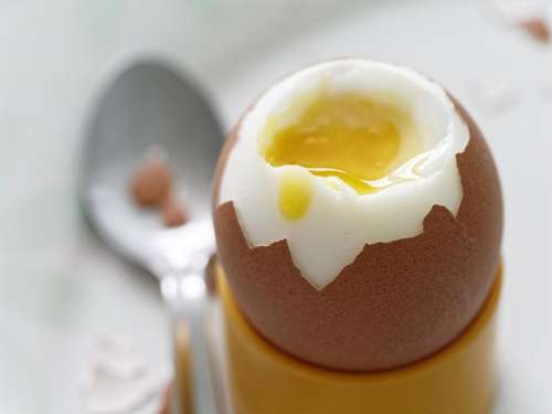 food egg boiled egg eggshell yolk