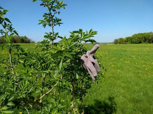 lost glove countryside #lostobject
