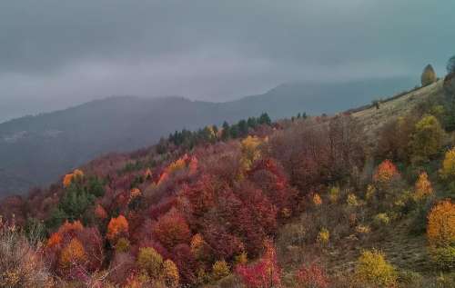 autumn mountain palette nature hiking