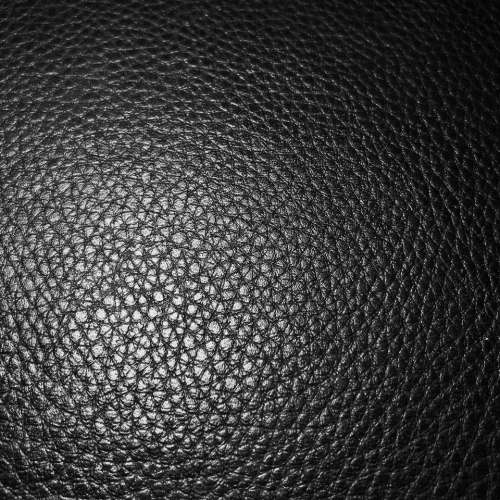 Black and White macro textures backgrounds organic