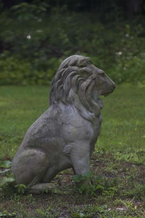 Lion Stone Statue #lions