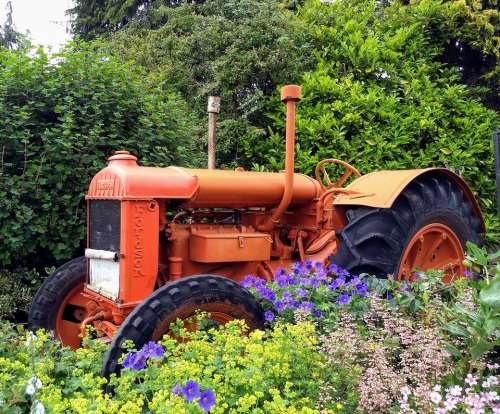 tractor vintage.flower bed fordson ford flowers