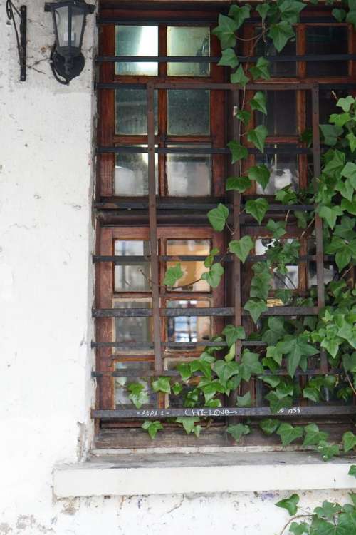 ivy ornate window decorative France