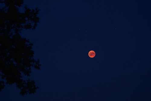 Moon blood moon lunar eclipse night sky celestial