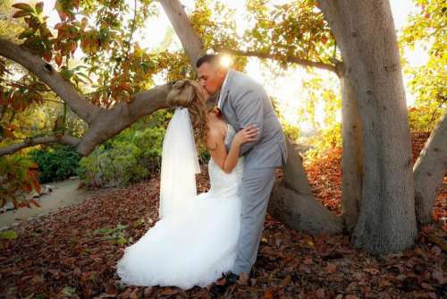 wedding marriage love couple