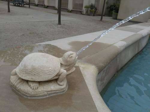 fountain fancy fountain fun turtle turtle fountain