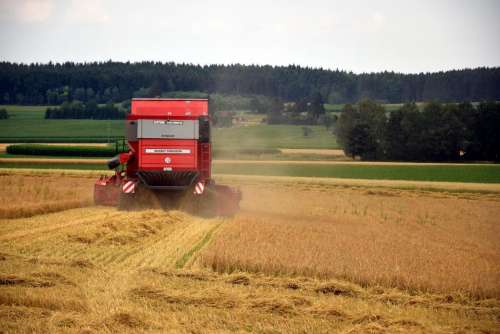 Combine harvester Landscape Field Agriculture Harvest