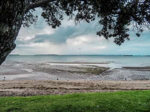 Howick Beach winter beach scene beaches seaside tidal