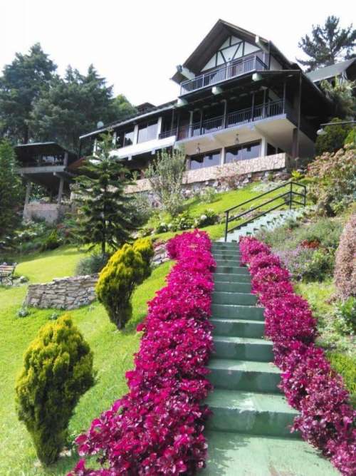 garden ornate landscaping stairs lawn