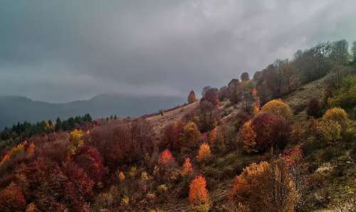 autumn mountain hiking palette nature