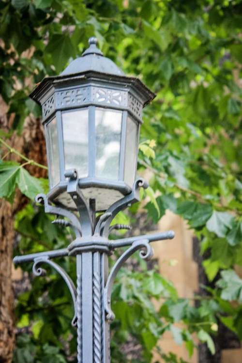 lamp light lamplight park streetlight