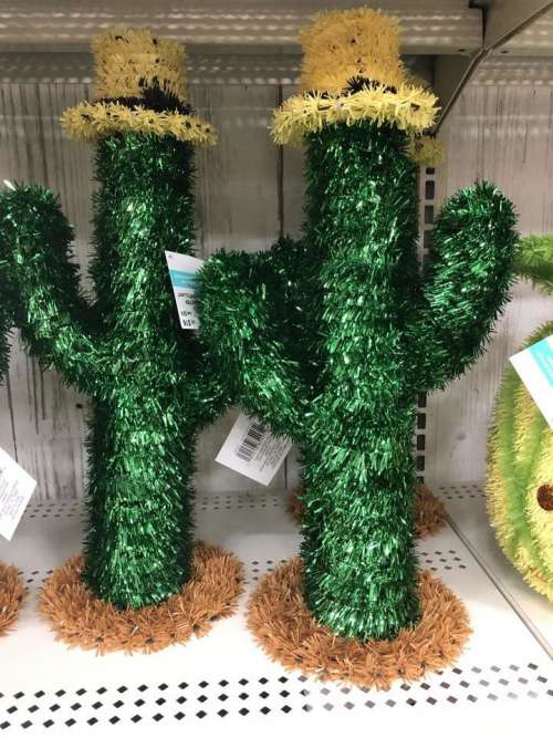 cactus home decor decorating arizona