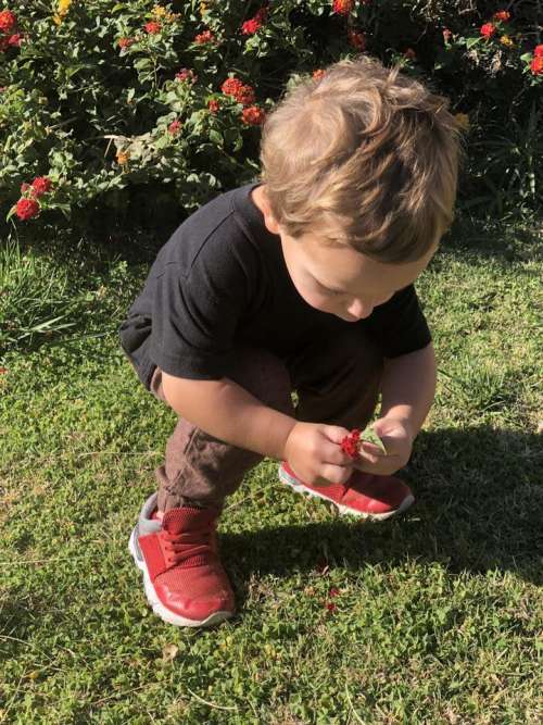 picking flowers flower bend over