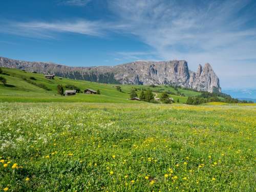Alpine Meadow Mountains Schlern Santner Has Pointed