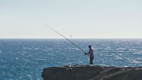 Angler Lonely Sea Fuerteventura Seagull Ocean