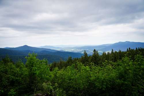 Arber Mountain Bavarian Forest Summit Meadow