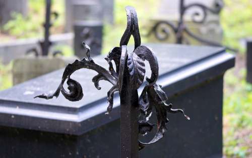 Art Metal Leaves Black Fence Cemetery The Funeral